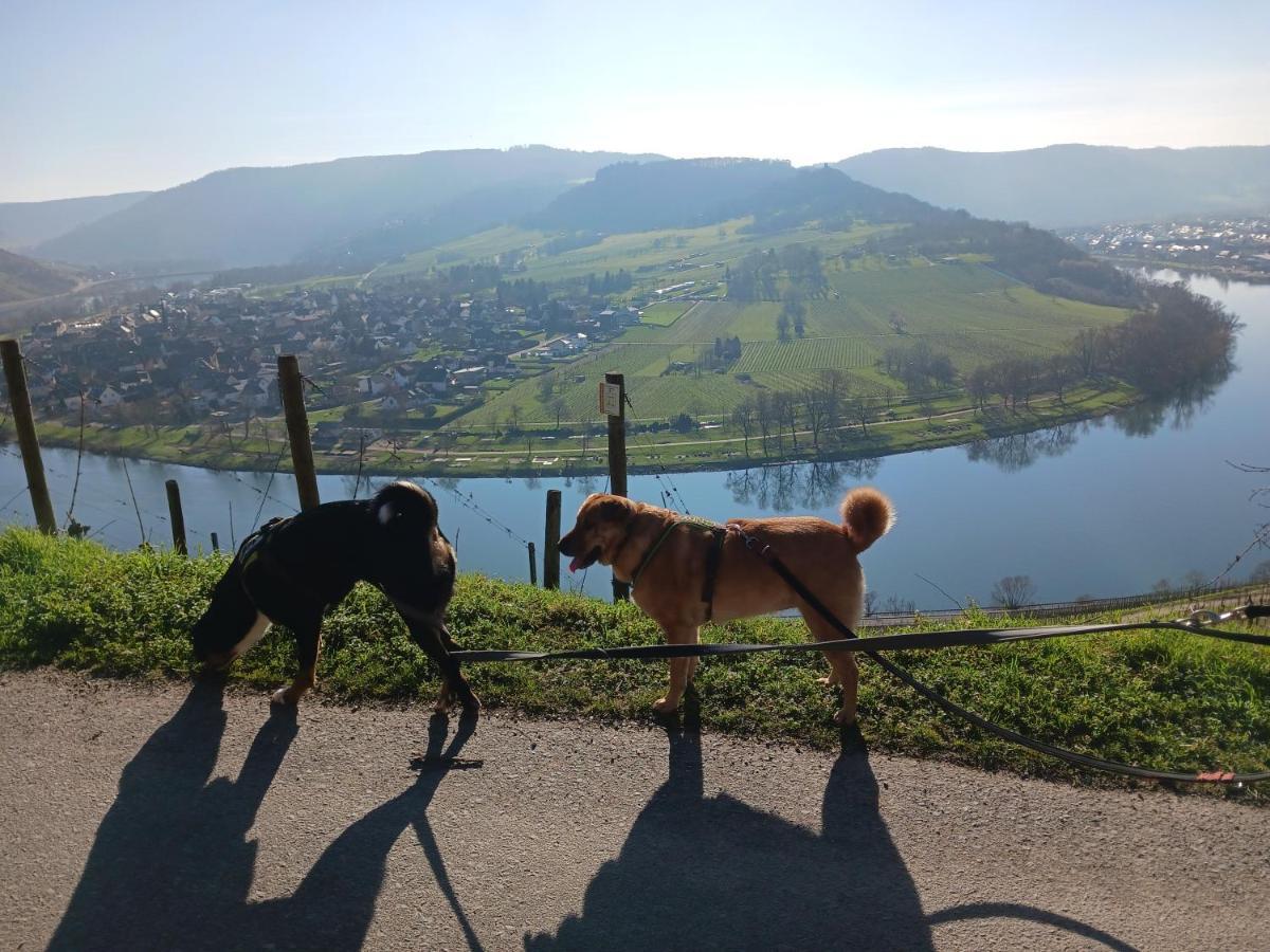 Ferienwohnung Gersch Traben-Trarbach Dış mekan fotoğraf